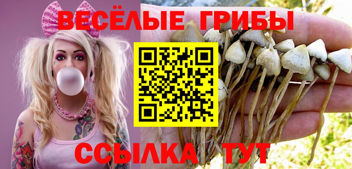 Галлюциногенные грибы мухоморы  Вход с VPN  Лабытнанги  где купить наркоту  Галлюциногенные грибы Magic Shrooms 